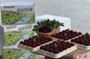 滚动新闻高速赋能产业升级：一条“杨梅路”的致富密码