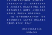 滚动新闻重庆一司机因持续鸣笛引发争执 强行驶离致1人死亡4人受伤